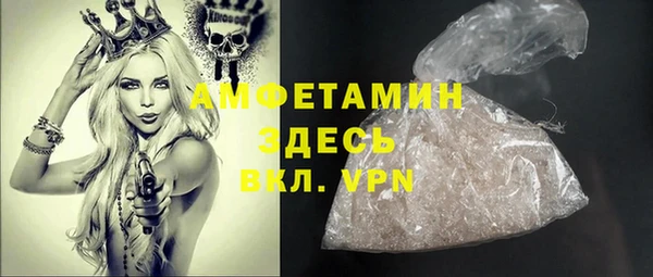 сатива Бородино