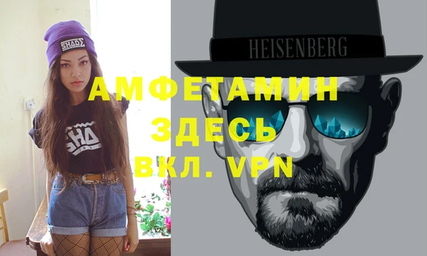 сатива Бородино