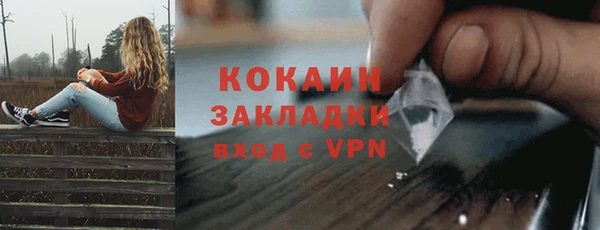 сатива Бородино