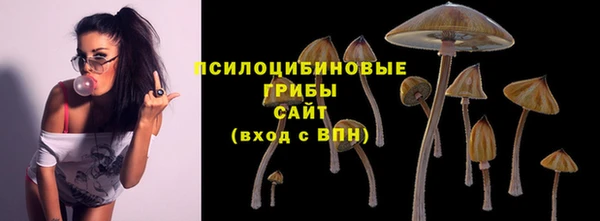 сатива Бородино