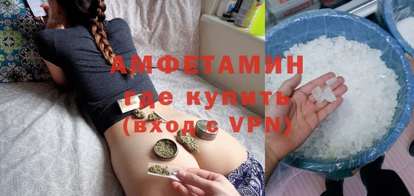сатива Бородино