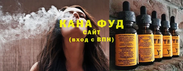сатива Бородино