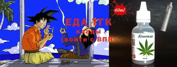 сатива Бородино