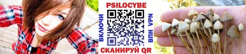 Псилоцибиновые грибы мухоморы  что такое наркотик  Химки 